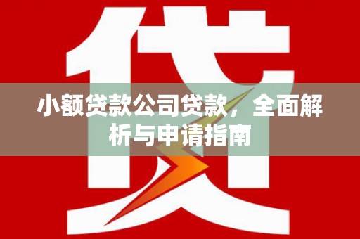 沅陵小额贷款公司贷款，全面解析与申请指南