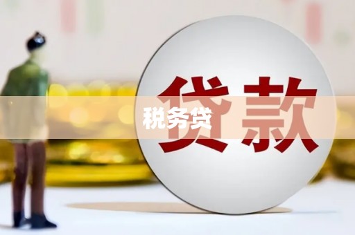 沅陵税务贷