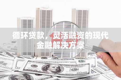 沅陵循环贷款，灵活融资的现代金融解决方案