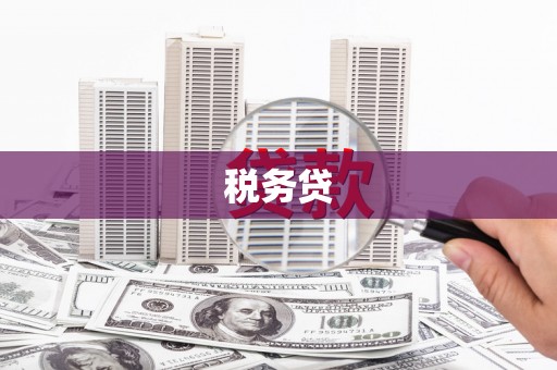 沅陵税务贷