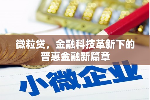 沅陵微粒贷，金融科技革新下的普惠金融新篇章