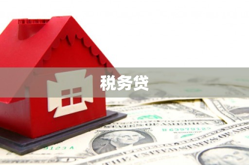 沅陵税务贷