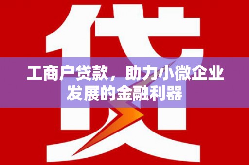 沅陵工商户贷款，助力小微企业发展的金融利器