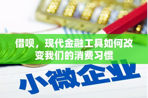 沅陵借呗，现代金融工具如何改变我们的消费习惯