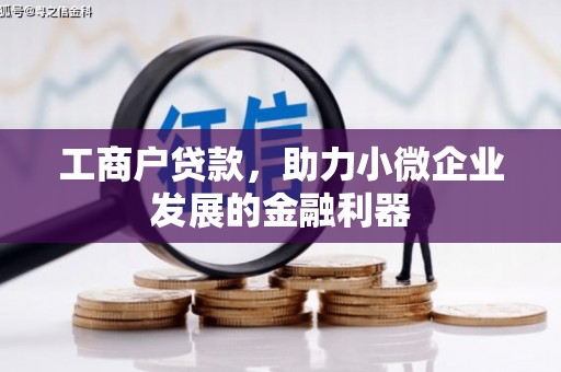 沅陵工商户贷款，助力小微企业发展的金融利器