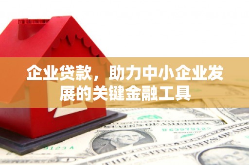 沅陵企业贷款，助力中小企业发展的关键金融工具