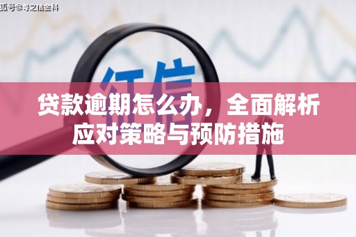 沅陵贷款逾期怎么办，全面解析应对策略与预防措施