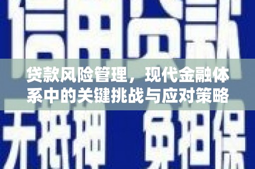 沅陵贷款风险管理，现代金融体系中的关键挑战与应对策略