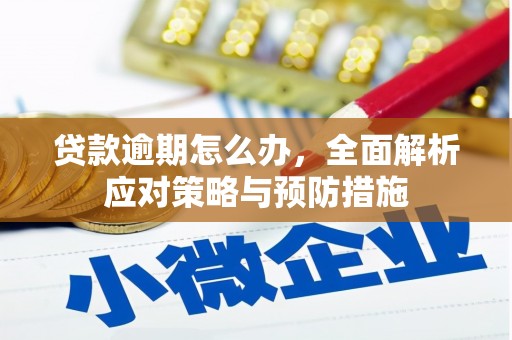 沅陵贷款逾期怎么办，全面解析应对策略与预防措施