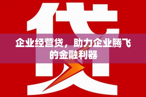 沅陵企业经营贷，助力企业腾飞的金融利器