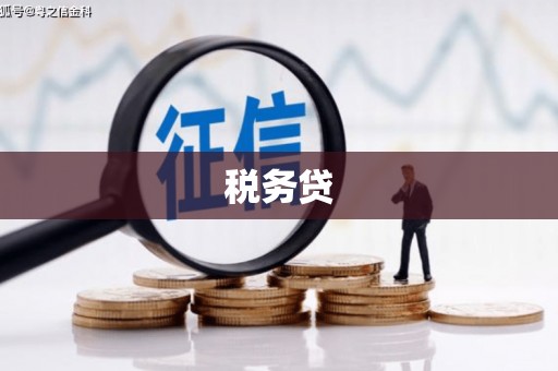 沅陵税务贷