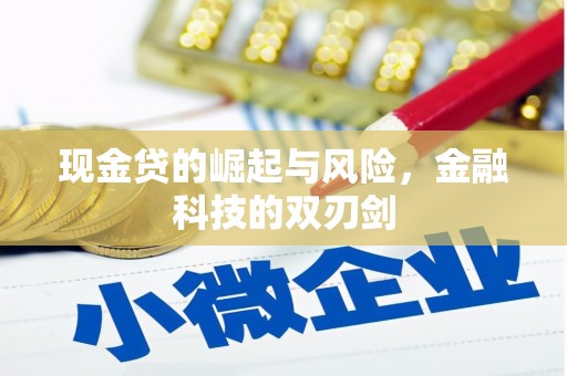 沅陵现金贷的崛起与风险，金融科技的双刃剑