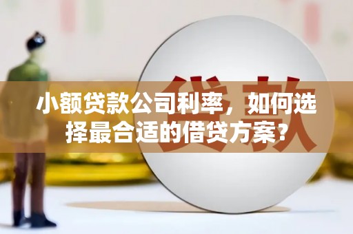 沅陵小额贷款公司利率，如何选择最合适的借贷方案？