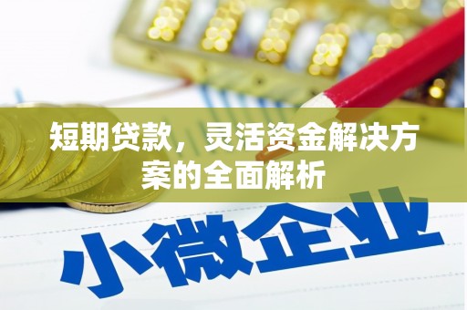 沅陵短期贷款，灵活资金解决方案的全面解析