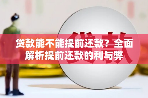 沅陵贷款能不能提前还款？全面解析提前还款的利与弊