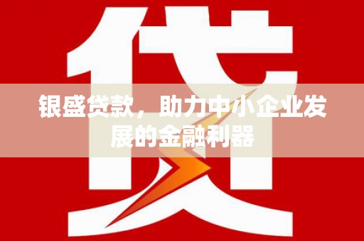 沅陵银盛贷款，助力中小企业发展的金融利器