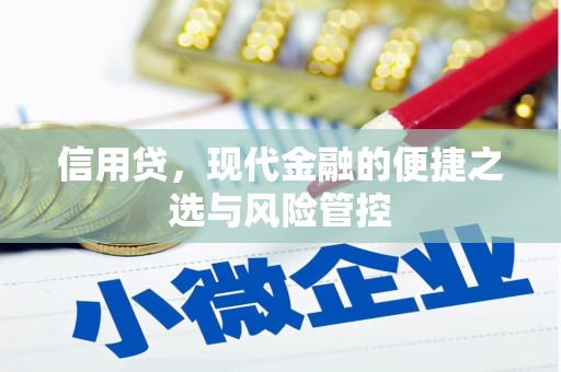 沅陵信用贷，现代金融的便捷之选与风险管控