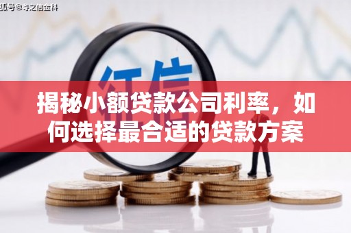 沅陵揭秘小额贷款公司利率，如何选择最合适的贷款方案