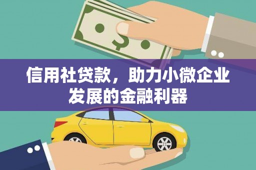 沅陵信用社贷款，助力小微企业发展的金融利器