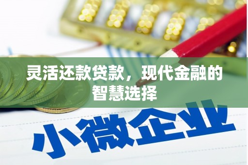 沅陵灵活还款贷款，现代金融的智慧选择