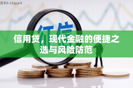 沅陵信用贷，现代金融的便捷之选与风险防范