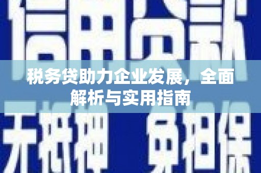 沅陵税务贷助力企业发展，全面解析与实用指南