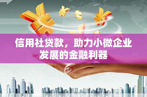 沅陵信用社贷款，助力小微企业发展的金融利器