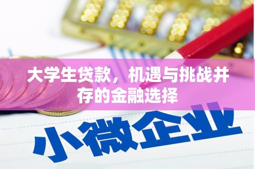 沅陵大学生贷款，机遇与挑战并存的金融选择