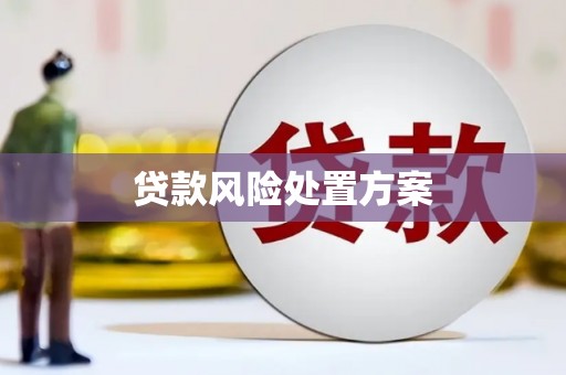 沅陵贷款风险处置方案