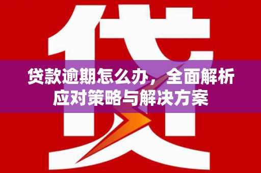 沅陵贷款逾期怎么办，全面解析应对策略与解决方案