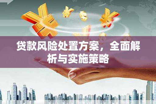 沅陵贷款风险处置方案，全面解析与实施策略